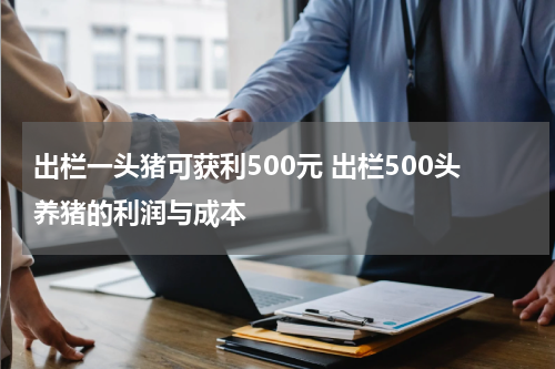 出栏一头猪可获利500元 出栏500头养猪的利润与成本
