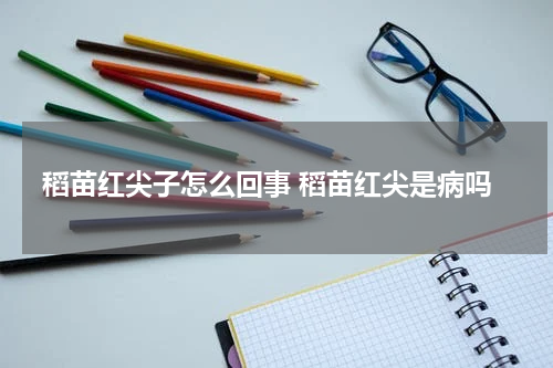 稻苗红尖子怎么回事 稻苗红尖是病吗