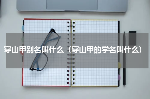 穿山甲别名叫什么（穿山甲的学名叫什么）