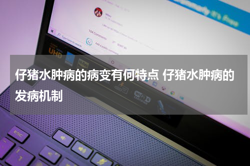 仔猪水肿病的病变有何特点 仔猪水肿病的发病机制