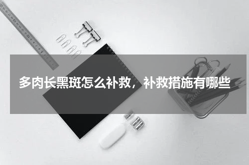 多肉长黑斑怎么补救，补救措施有哪些