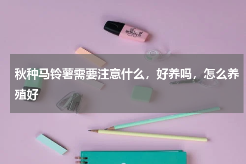 秋种马铃薯需要注意什么，好养吗，怎么养殖好