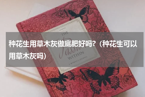 种花生用草木灰做底肥好吗?（种花生可以用草木灰吗）