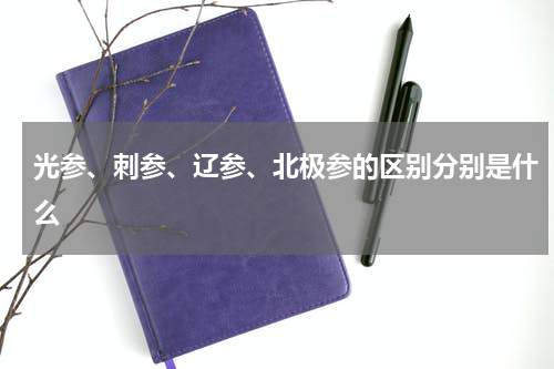 光参、刺参、辽参、北极参的区别分别是什么