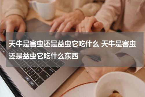 天牛是害虫还是益虫它吃什么 天牛是害虫还是益虫它吃什么东西