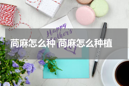 苘麻怎么种 苘麻怎么种植