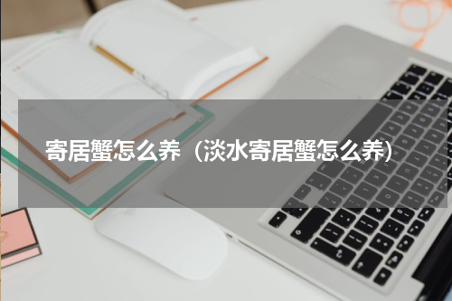 寄居蟹怎么养（淡水寄居蟹怎么养）
