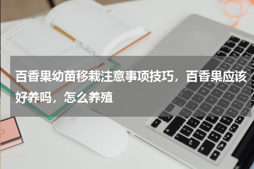 百香果幼苗移栽注意事项技巧，百香果应该好养吗，怎么养殖