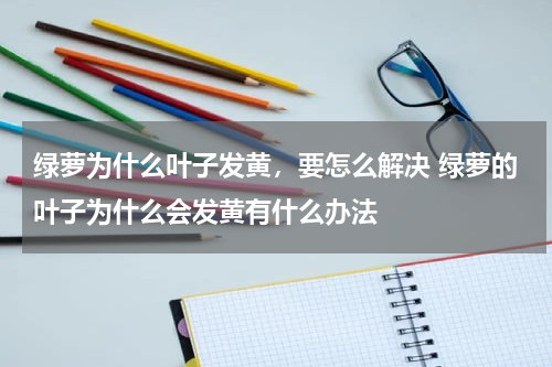 绿萝为什么叶子发黄，要怎么解决 绿萝的叶子为什么会发黄有什么办法