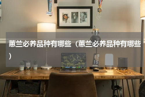 蕙兰必养品种有哪些（蕙兰必养品种有哪些）