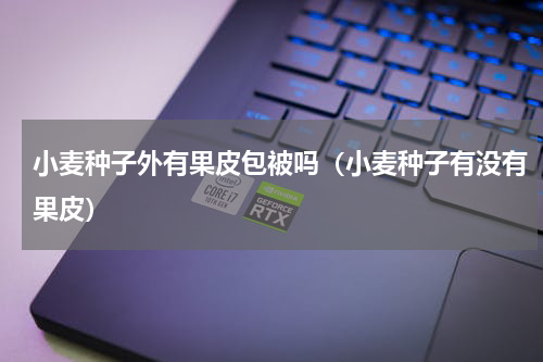 小麦种子外有果皮包被吗（小麦种子有没有果皮）