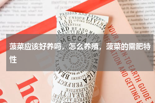 菠菜应该好养吗，怎么养殖，菠菜的需肥特性