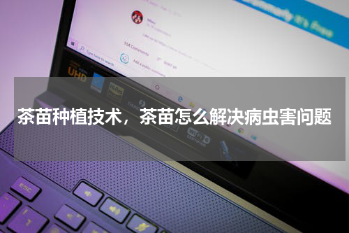 茶苗种植技术，茶苗怎么解决病虫害问题