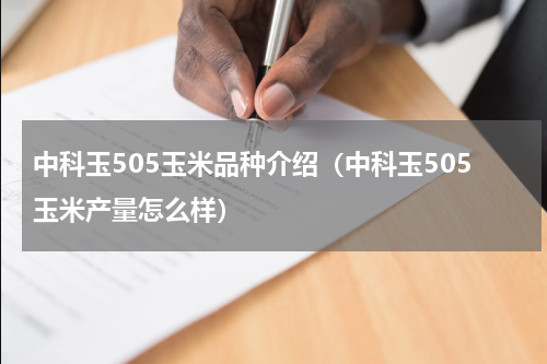 中科玉505玉米品种介绍（中科玉505玉米产量怎么样）