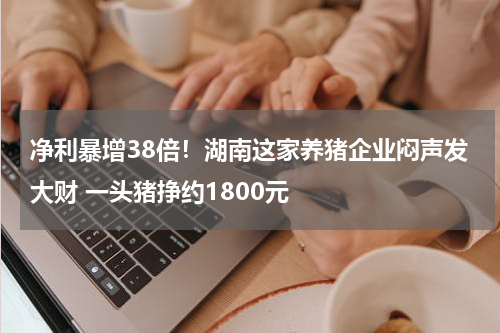 净利暴增38倍！湖南这家养猪企业闷声发大财 一头猪挣约1800元