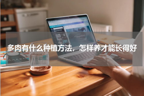 多肉有什么种植方法，怎样养才能长得好