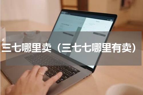 三七哪里卖（三七七哪里有卖）