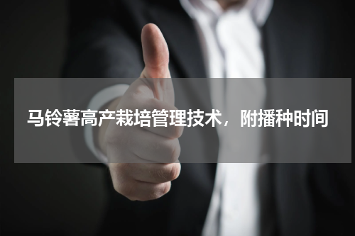 马铃薯高产栽培管理技术，附播种时间
