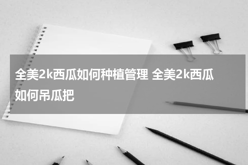 全美2k西瓜如何种植管理 全美2k西瓜如何吊瓜把