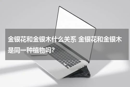 金银花和金银木什么关系 金银花和金银木是同一种植物吗?