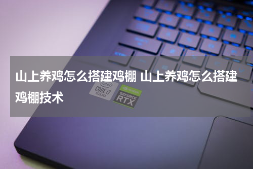 山上养鸡怎么搭建鸡棚 山上养鸡怎么搭建鸡棚技术