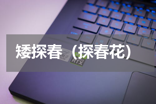 矮探春（探春花）