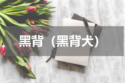 黑背（黑背犬）