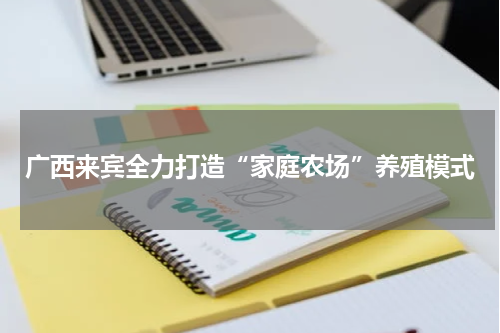 广西来宾全力打造“家庭农场”养殖模式