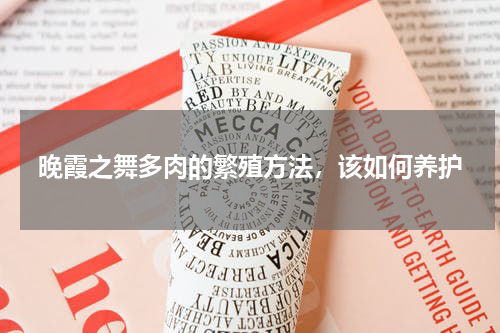 晚霞之舞多肉的繁殖方法，该如何养护