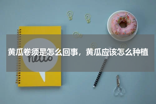 黄瓜卷须是怎么回事，黄瓜应该怎么种植