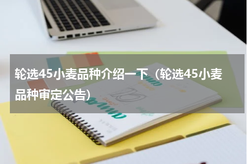 轮选45小麦品种介绍一下（轮选45小麦品种审定公告）