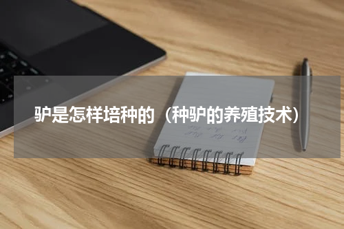 驴是怎样培种的（种驴的养殖技术）