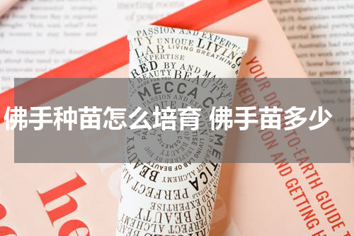佛手种苗怎么培育 佛手苗多少