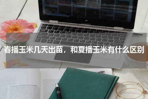 春播玉米几天出苗，和夏播玉米有什么区别