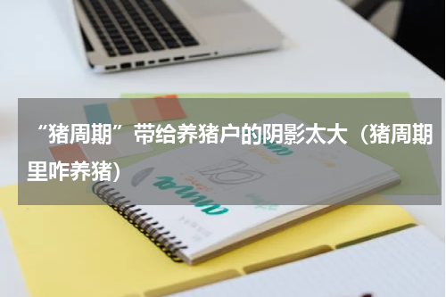 “猪周期”带给养猪户的阴影太大（猪周期里咋养猪）