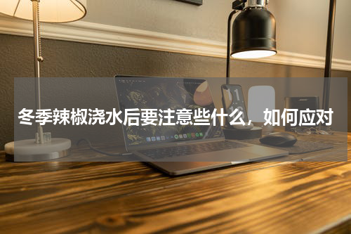 冬季辣椒浇水后要注意些什么，如何应对
