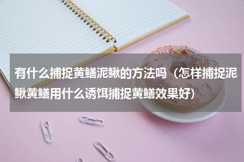 有什么捕捉黄鳝泥鳅的方法吗（怎样捕捉泥鳅黄鳝用什么诱饵捕捉黄鳝效果好）