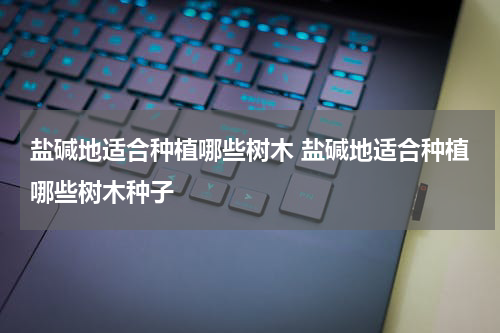 盐碱地适合种植哪些树木 盐碱地适合种植哪些树木种子