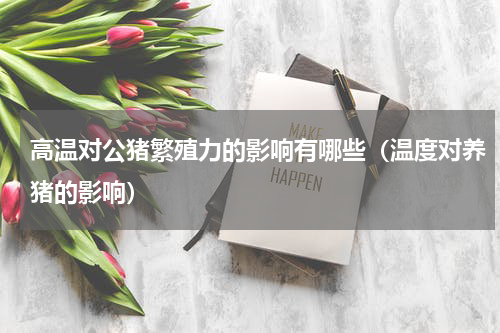 高温对公猪繁殖力的影响有哪些（温度对养猪的影响）