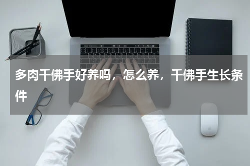 多肉千佛手好养吗，怎么养，千佛手生长条件