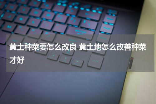 黄土种菜要怎么改良 黄土地怎么改善种菜才好
