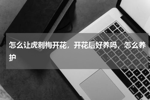 怎么让虎刺梅开花，开花后好养吗，怎么养护