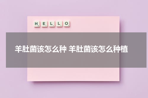 羊肚菌该怎么种 羊肚菌该怎么种植
