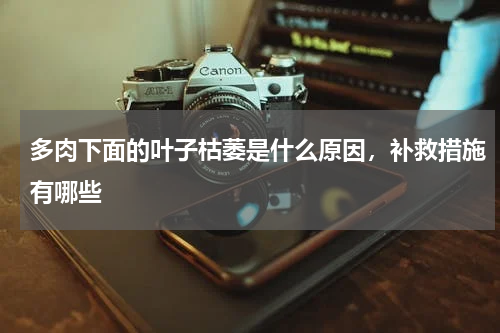 多肉下面的叶子枯萎是什么原因，补救措施有哪些