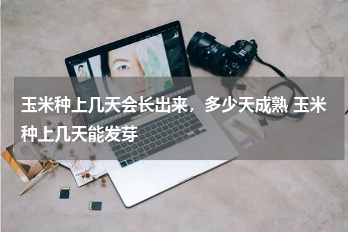 玉米种上几天会长出来，多少天成熟 玉米种上几天能发芽