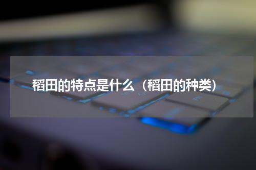 稻田的特点是什么（稻田的种类）