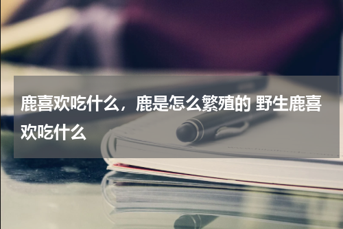 鹿喜欢吃什么，鹿是怎么繁殖的 野生鹿喜欢吃什么