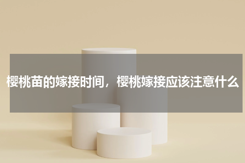 樱桃苗的嫁接时间，樱桃嫁接应该注意什么