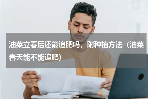 油菜立春后还能追肥吗，附种植方法（油菜春天能不能追肥）