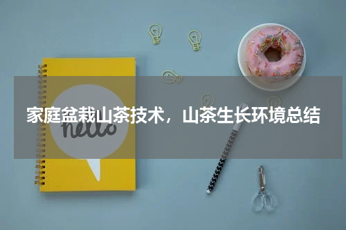 家庭盆栽山茶技术，山茶生长环境总结